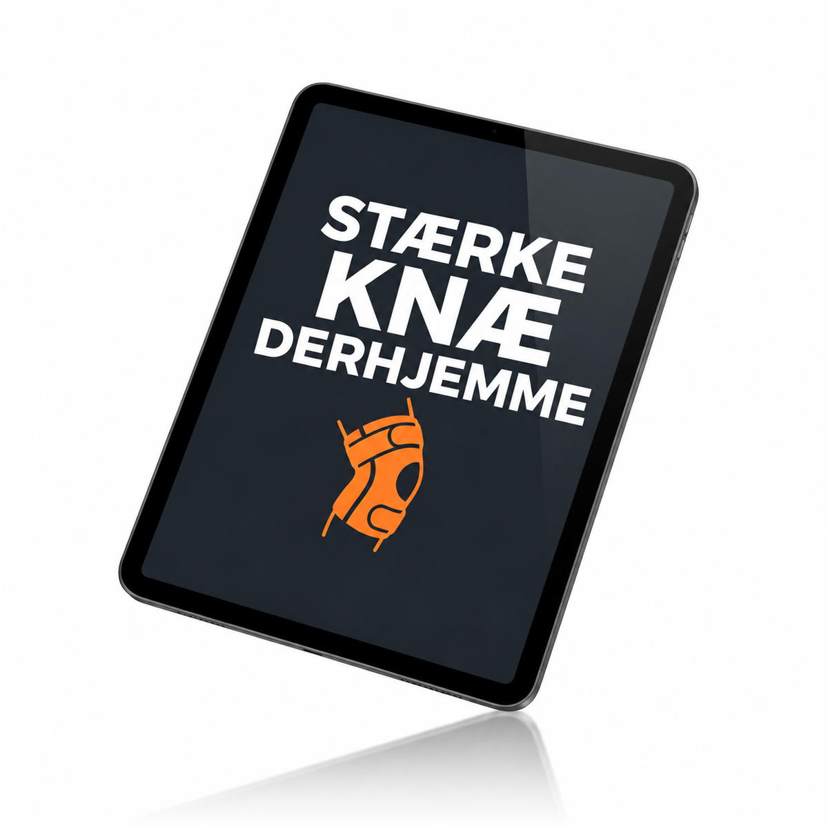 Tilbage i bevægelse-program